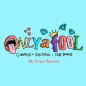 Only a Fool (DJ D-Sol Remix) artwork