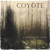Coyote - Pretty Coat
