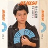 叶俊荣 - 好好爱我