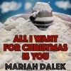 All I Want for Christmas Is You - Single