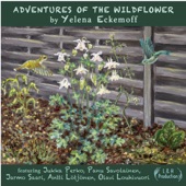 Adventures of the Wildflower (feat. Jukka Perko, Jarmo Saari, Antti Lotjonen & Olavi Louhivuori) artwork