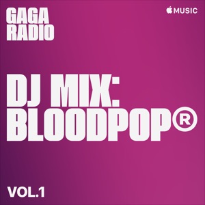 Lady Gaga Stupid Love (MASTERIA Remix)