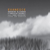 Evanesce (Live in Zurich) artwork