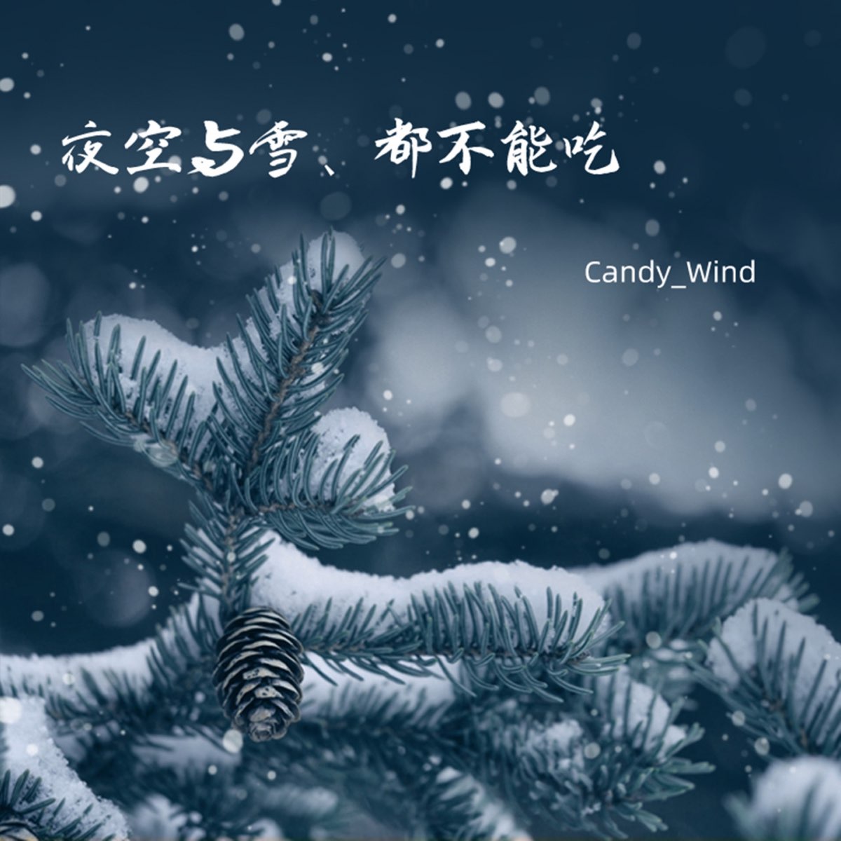 夜空与雪 都不能吃 Single By Candy Wind On Apple Music