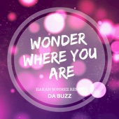 Wonder Where You Are (Hakan Sonmez Remix) artwork