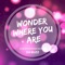 Wonder Where You Are (Hakan Sonmez Remix) artwork