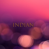 Indian (Instrumental) artwork