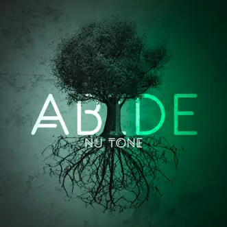 Abide (feat. Torey D'shaun & Drew Ava) by Nu Tone song reviws