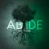 Abide (feat. Torey D'shaun & Drew Ava) song reviews