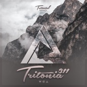 Tritonia 311 artwork