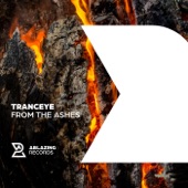 From the Ashes (Extended Mix) artwork