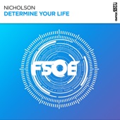Determine Your Life (Extended Mix) artwork