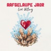 Aafgelaupe Jaor - Single