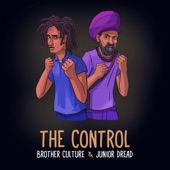 The Control artwork