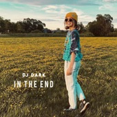 In the End (Extended) artwork