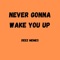 Never Gonna Wake You Up artwork