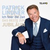 Patrick Lindner - Dann kamst du