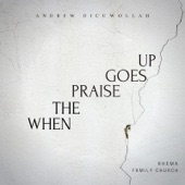 When the Praise Goes Up artwork