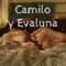 Camilo y Evaluna artwork