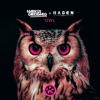 Owl - Single