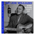 Big Joe Williams - Baby Please Don't Go