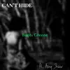 Can't Hide - Single album lyrics, reviews, download