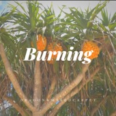 Burning artwork