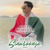 Yo Soy Sinaloense - Single