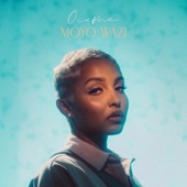 MOYO WAZI - EP artwork