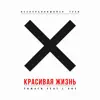 Красивая жизнь (feat. L'One) - Single album lyrics, reviews, download