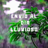 Envío al Día Lluvioso artwork