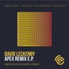 David Leckenby - Apex (David Leckenby Rework)