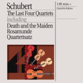 String Quartet No.14 in D Minor, D.810 -"Death and the Maiden": 1. Allegro by Franz Schubert