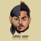 Karde Haan - Akhil & Manni Sandhu lyrics