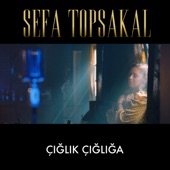 Çığlık Çığlığa artwork