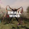 Small Wins artwork