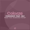 Corderoy - What You Running From? (feat. GSJ)