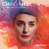 Camila Meza - Milagre dos Peixes