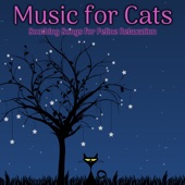 Music For Cats: Soothing Songs for Feline Relaxation artwork