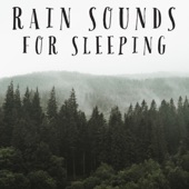 Rain Sounds For Sleeping - EP artwork