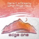 When Angel Falls (Radio Edit) artwork