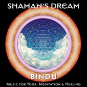 Bindu: Music for Yoga, Meditation & Healing artwork