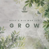 BCee - Grow