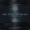 Are You Listening artwork