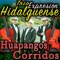 El Tepetzintleco - Trio Expresion Hidalguense lyrics