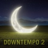 Downtempo 2 artwork