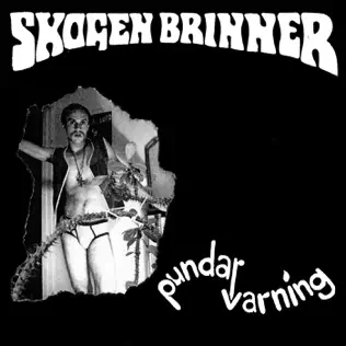 télécharger l'album Skogen Brinner - Pundarvarning