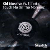 Touch Me (In the Morning) [feat. Elliotte Williams N'Dure] [Avicii's Massive Mix] artwork