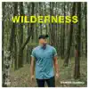 Wilderness album lyrics, reviews, download