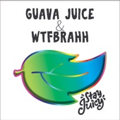 Guava Juice - I Love Fidget Spinners Deluxe